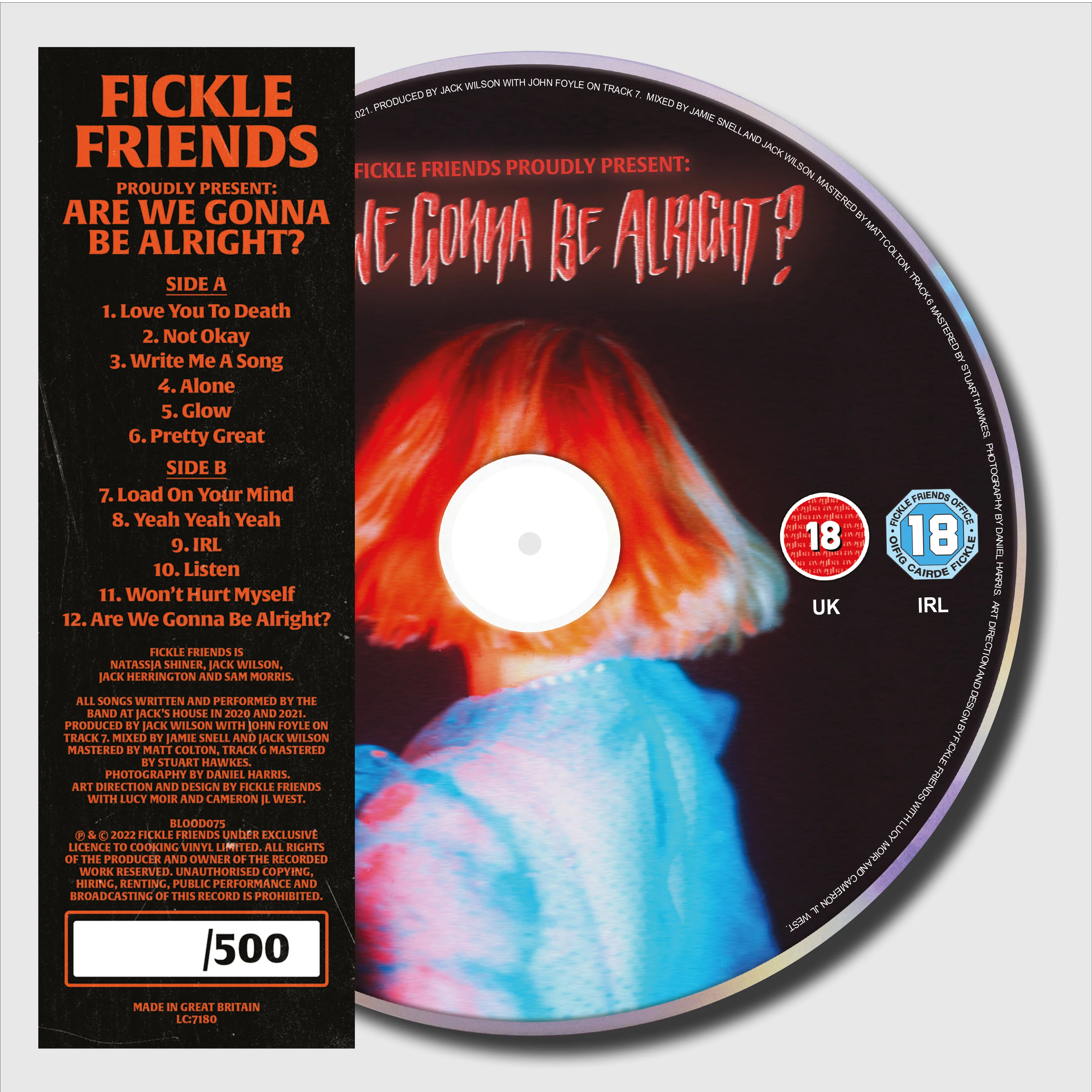 Fickle Friends: Are We Gonna Be Alright (Picture Disc LP)