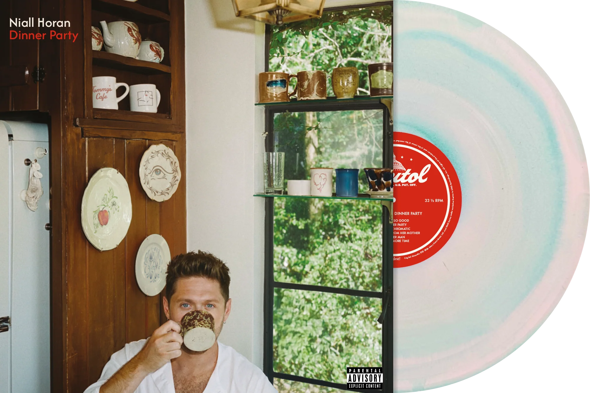 Niall Horan - Dinner Party