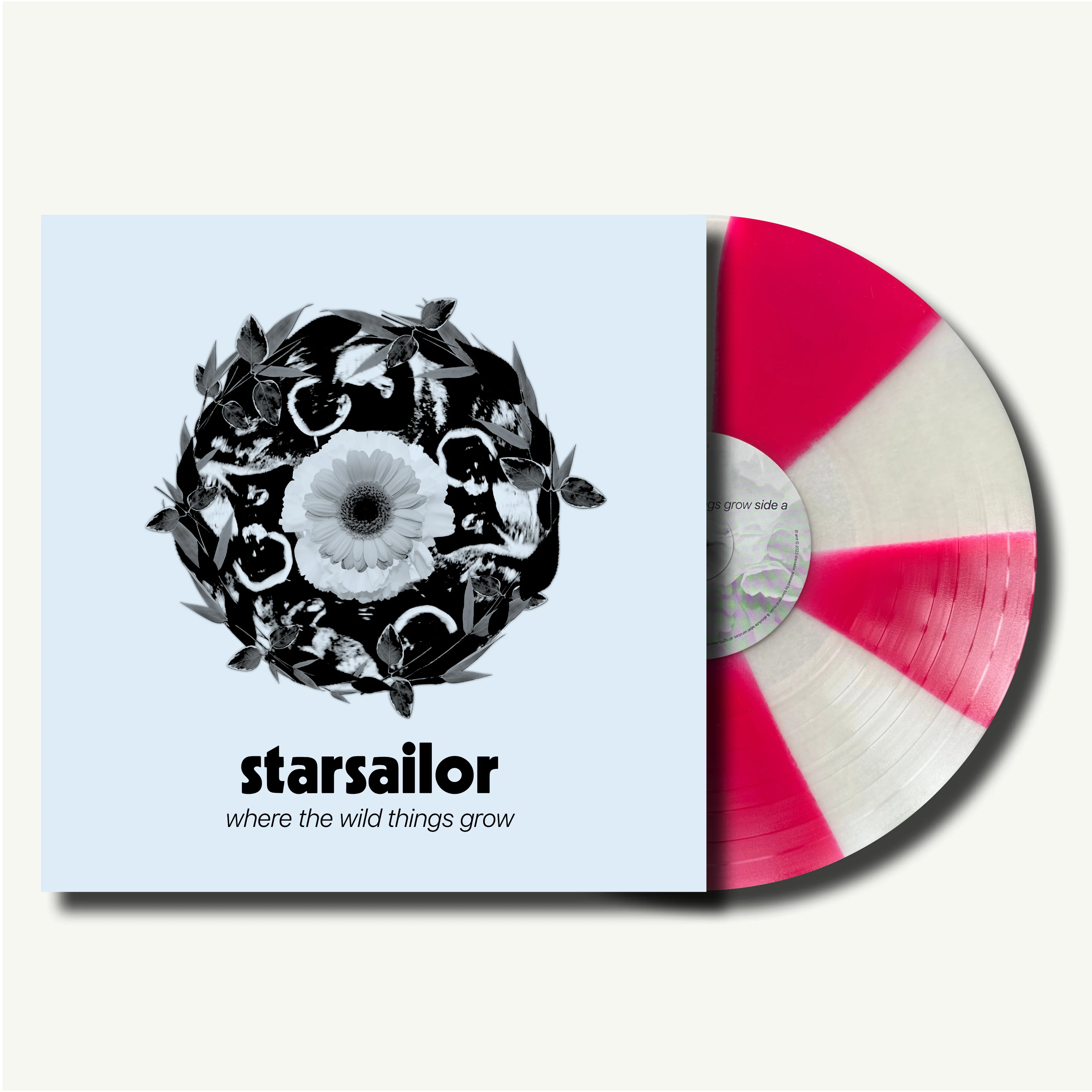 Starsailor: Where The Wild Things Grow